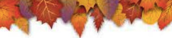 Snip20230904_576_edited.jpg